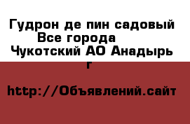 Гудрон де пин садовый - Все города  »    . Чукотский АО,Анадырь г.